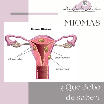 Slider image (2) Dr. Nicolle Martinez